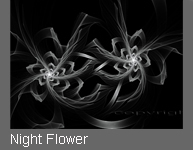 Night Flower von Fractal Fineart